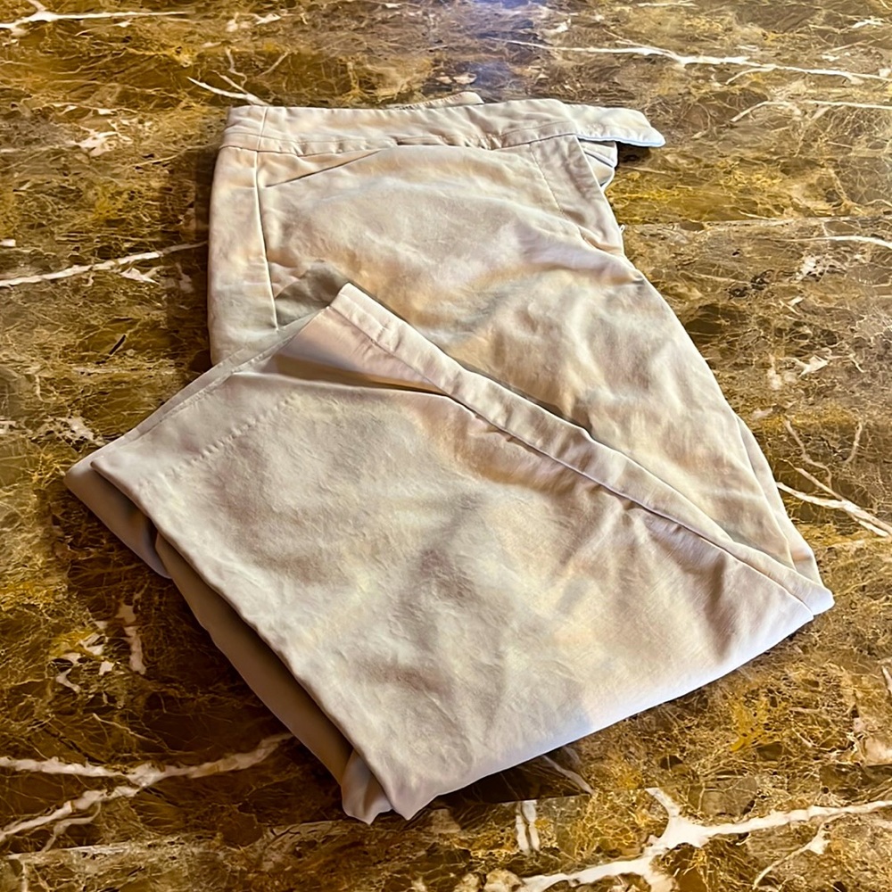 Ann Taylor Capri Pant